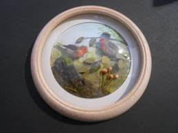 Robins (5-inch)